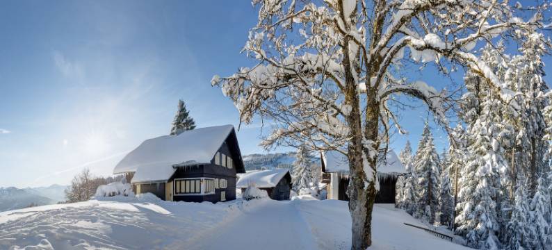 波戴勒高山酒店(Bödele Alpenhotel)图片