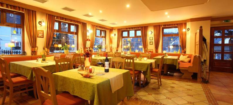 莎拉塔利帕 - 疗养酒店(Wellness Hotel Zlatá Lípa)图片