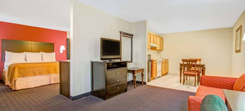 南坦帕套房酒店(Hotel South Tampa & Suites)图片