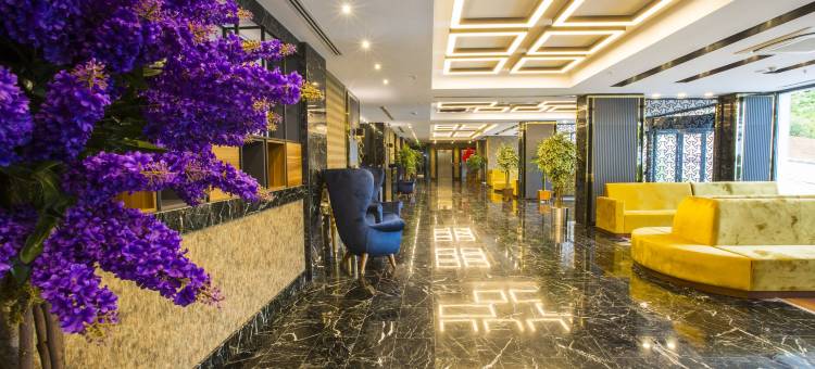 特拉布宗瑞享酒店(Mövenpick Hotel Trabzon)图片
