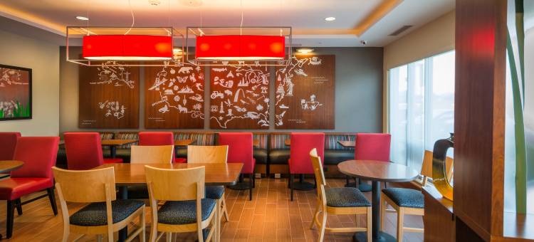 戈尔兹伯勒万豪TownePlace Suites酒店(TownePlace Suites Goldsboro)图片