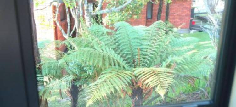 典雅风格度假屋(A Touch of Class)图片