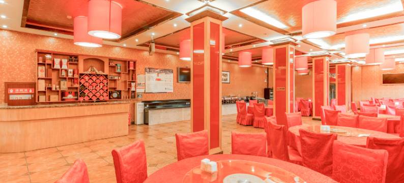 林芝泓天大酒店图片