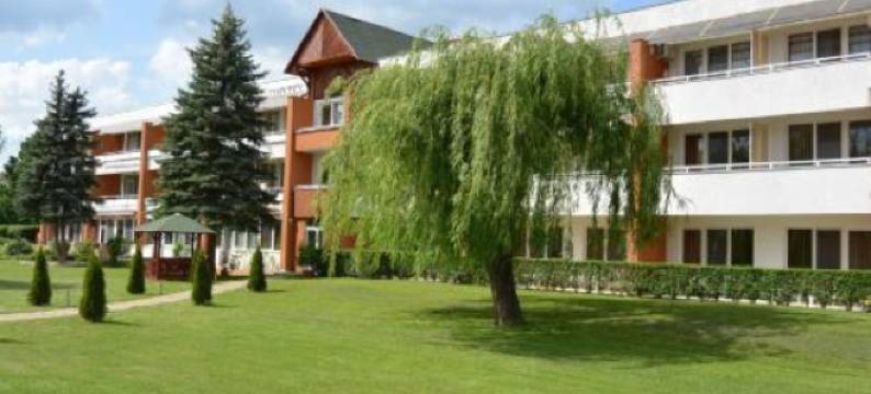 艺术酒店(Art Hotel Superior)图片