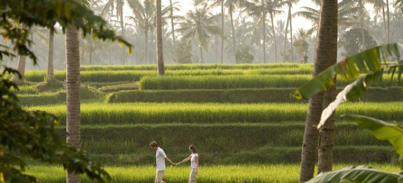 卡曼达鲁乌布度假村(Kamandalu Ubud)图片