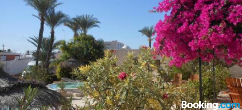 门泽尔卡哈酒店(Menzel Sonia Caja)图片