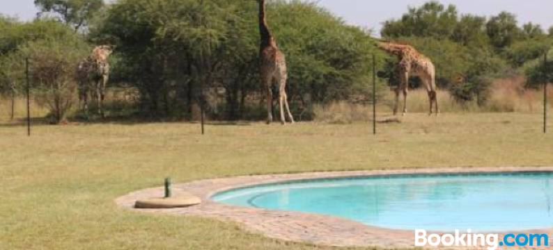 托恩树林露营酒店(Thorn Tree Bush Camp)图片