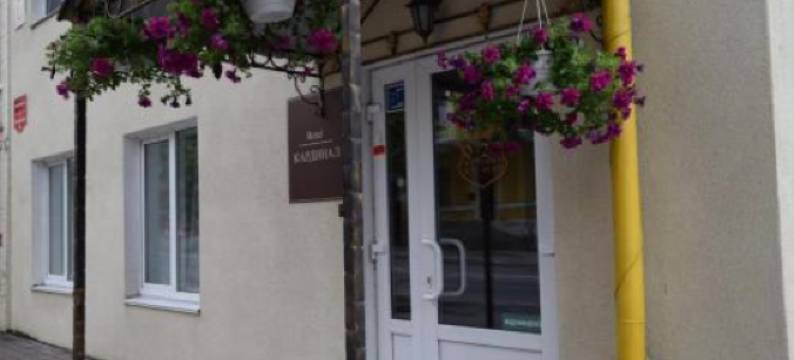 卡迪纳尔酒店(Hotel Kardinal)图片