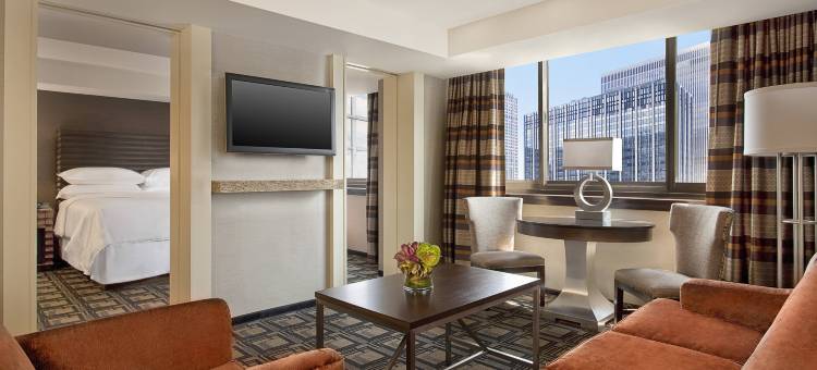 纽约时代广场喜来登酒店(Sheraton New York Times Square Hotel)图片