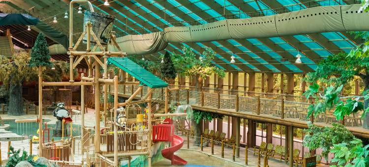 西门大烟山水疗度假村(Westgate Smoky Mountain Resort & Spa)图片