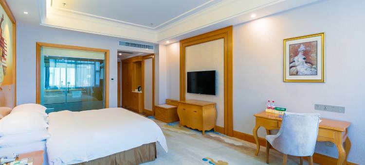 维也纳国际酒店(大新德天广场店)图片