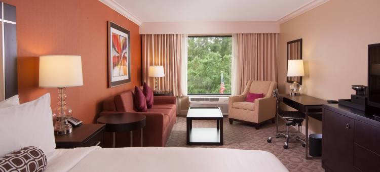 万豪德尔塔奥兰多酒店 - 博伟湖(Delta Hotels by Marriott Orlando Lake Buena Vista)图片