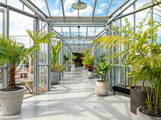 阿姆斯特丹祖克酒店