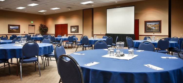 维斯塔机场贝斯特韦斯特酒店(Best Western Vista Inn at the Airport)图片