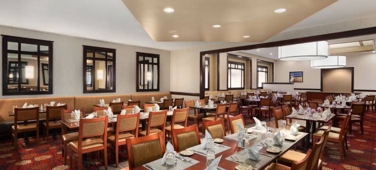 芝加哥奥黑尔罗斯蒙特希尔顿安泊酒店(Embassy Suites by Hilton Chicago O'Hare Rosemont)图片