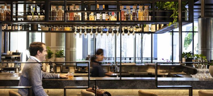 诺富特布里斯班南岸酒店(Novotel Brisbane South Bank)图片