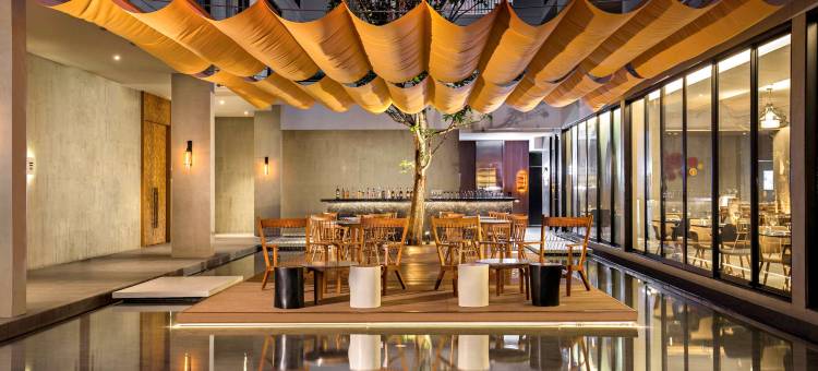 清迈宁曼枢纽诺富特酒店(Novotel Chiangmai Nimman Journeyhub)图片