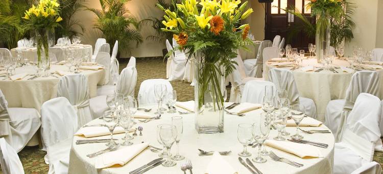 圣多明戈丽笙酒店(Radisson Hotel Santo Domingo)图片