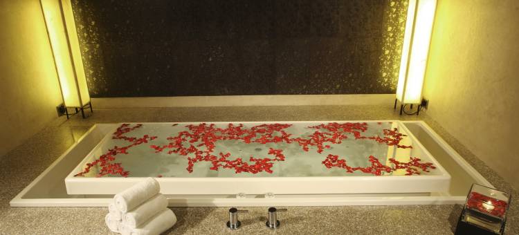 德里机场丽笙世嘉酒店(Radisson Blu Plaza Delhi)图片