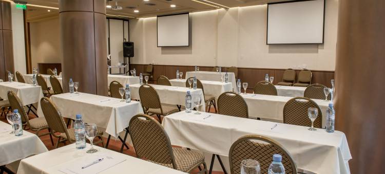 布宜诺斯艾利斯佛罗里达街豪生广场酒店(Howard Johnson Plaza by Wyndham Buenos Aires Florida Street)图片