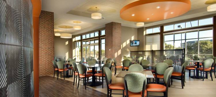 圣安东尼北-石橡树德鲁里广场酒店(Drury Plaza Hotel San Antonio North Stone Oak)图片