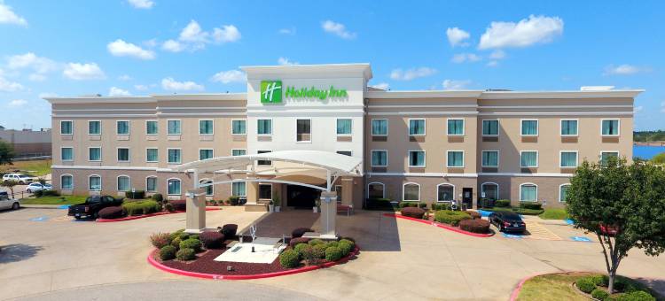 Holiday Inn 朗维尤- 北(Holiday Inn Longview - North)图片