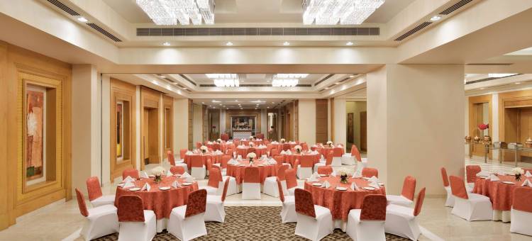 诺伊达丽筠酒店(Radisson Noida)图片