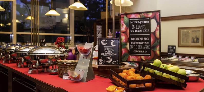 布加勒斯特北站宜必思酒店(My Continental Bucharest)图片