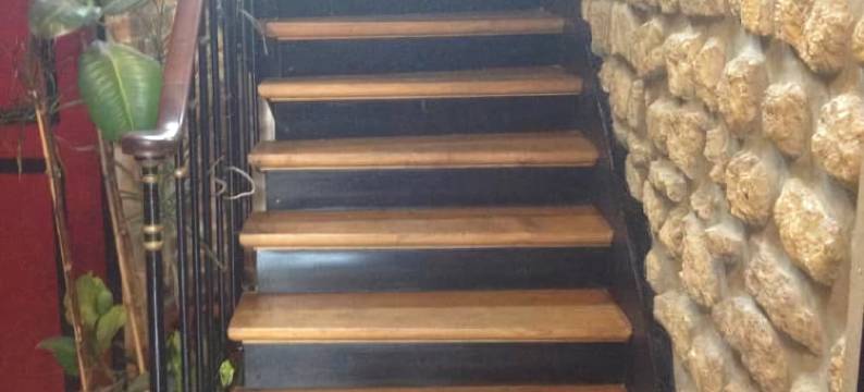 马里尼亚酒店(Marinha Hotel)图片