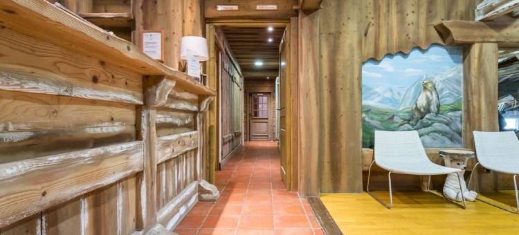 莱斯阿尔帕奇德长特尔皮埃尔高级酒店(Résidence Pierre & Vacances Premium les Alpages de Chantel)图片