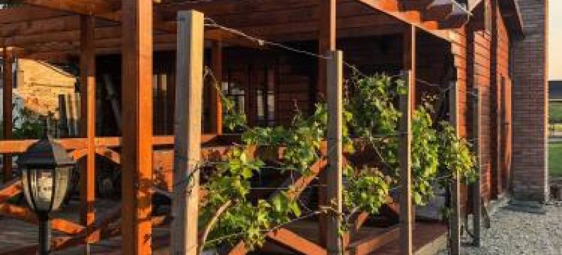 图里帕诺斯温德加兹公寓(Tulipános vendégház)图片