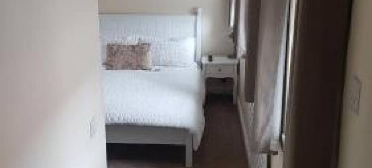 Stafford Apartments图片