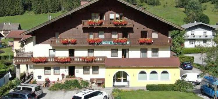 雪绒花膳食酒店(Pension Edelweiss)图片