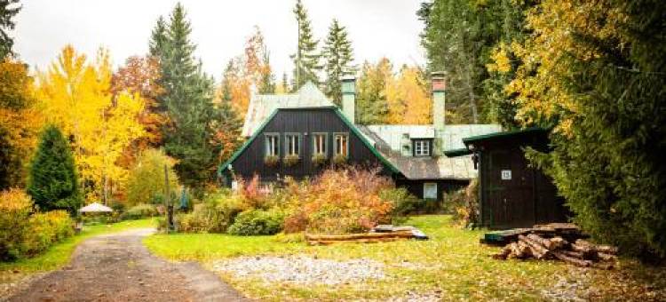 维拉安娜酒店(Willa Anna)图片