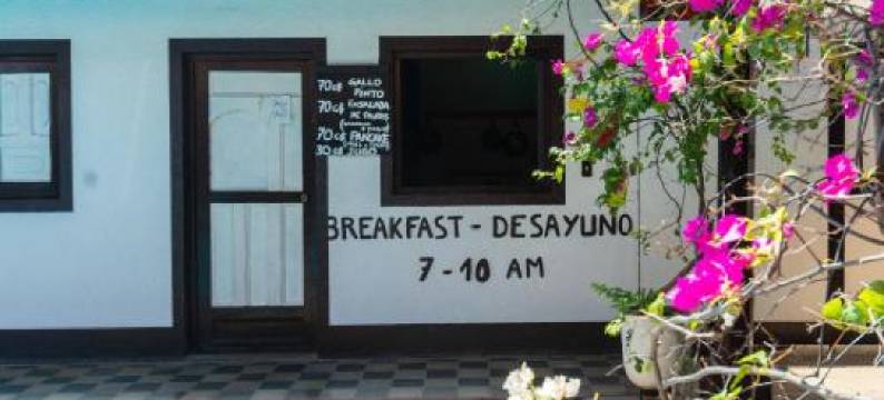 懒人旅馆(Hostal Lazybones)图片