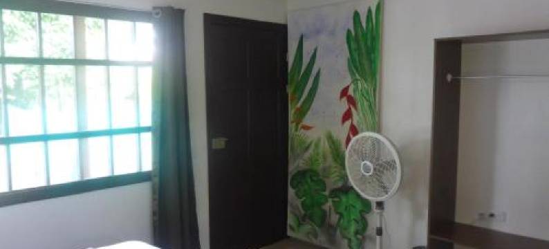 阿拉卡丽花园旅馆(Aracari Garden Hostel)图片