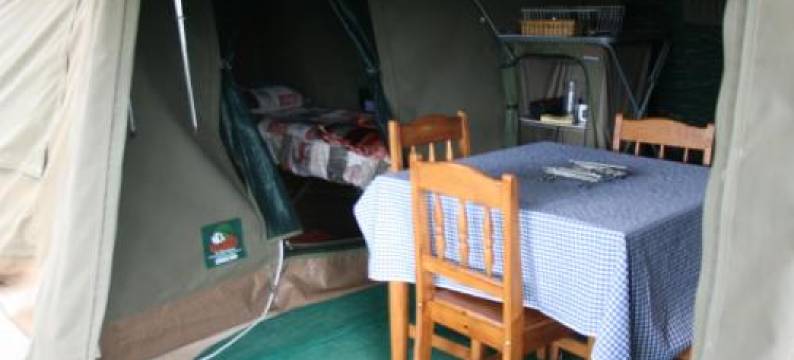 托恩树林露营酒店(Thorn Tree Bush Camp)图片