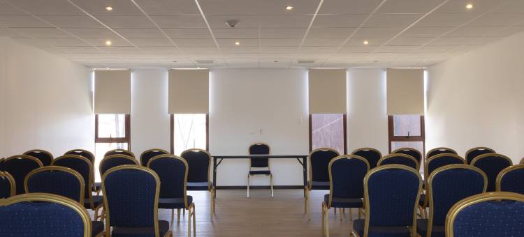 瓦勒纳尔罗斯奥利弗丽柏酒店(Park Inn by Radisson Los Olivos de Vallenar)图片