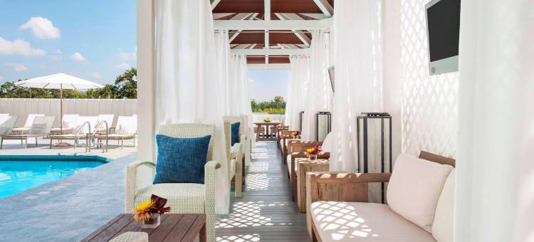 星莺亚特兰大中城，希尔顿精选系列(The Starling Atlanta Midtown, Curio Collection by Hilton)图片