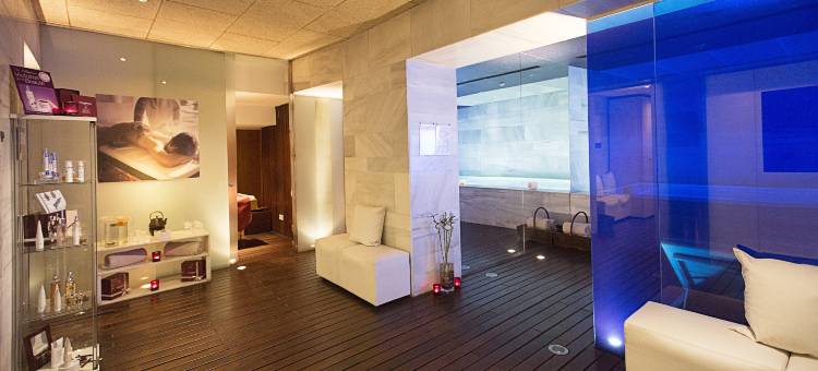 洛思帕托斯酒店(Hospes Palacio de Los Patos Granada)图片