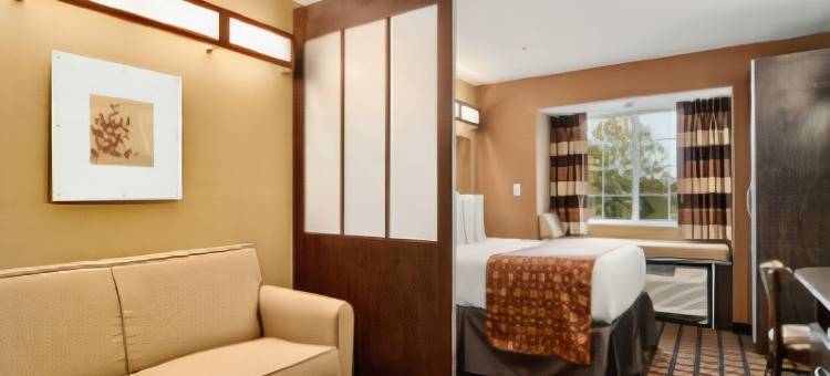 布达-奥斯汀南麦客达温德姆套房酒店(Microtel Inn & Suites by Wyndham Buda Austin South)图片