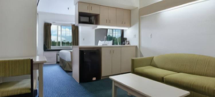 斯泰茨维尔温德姆麦客达套房酒店(Microtel Inn & Suites by Wyndham Statesville)图片