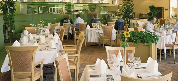 法兰克福奥伯乌瑟尔 Elaya 酒店(Elaya Hotel Frankfurt Oberursel)图片