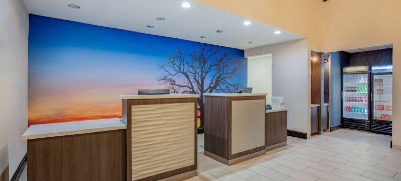 麦金尼拉昆塔温德姆套房酒店(La Quinta Inn & Suites by Wyndham McKinney)图片