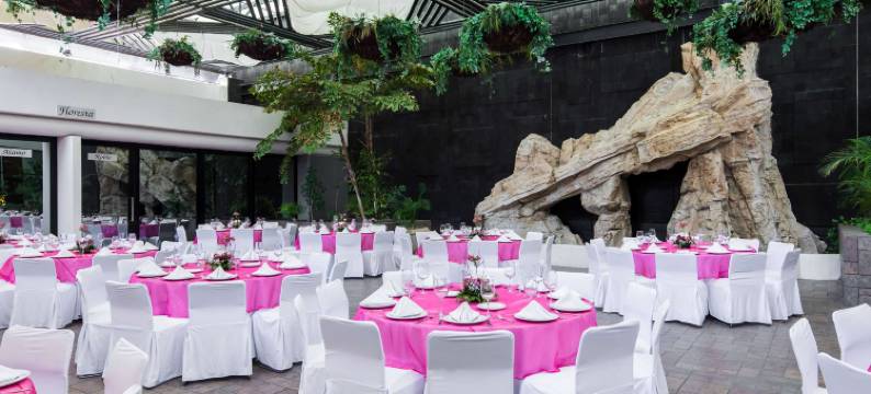 温德姆库利阿坎行政酒店(Wyndham Executivo Culiacan)图片