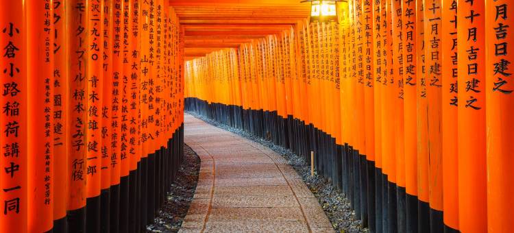 相铁FRESA INN 京都站八条口(Sotetsu Fresa Inn Kyoto-Hachijoguchi)图片