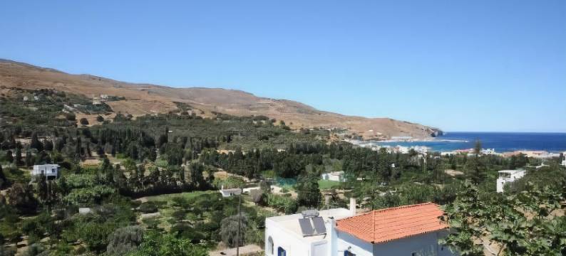 索菲套房公寓(Sofi's Suites Andros)图片