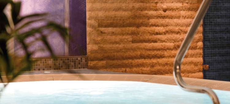 格蒂斯赫斯豪斯旅游查梅酒店(A-Rosa Gothisches Haus Wernigerode)图片