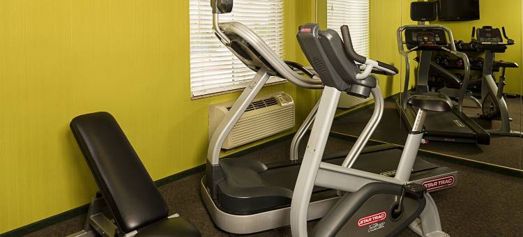 纽约拉瓜迪亚机场/芙拉世迎万枫酒店(Fairfield Inn New York LaGuardia Airport/Flushing)图片