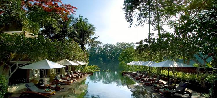 玛雅乌布度假村(Maya Ubud Resort & Spa)图片
